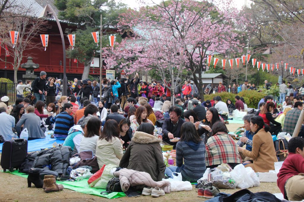 picknick Japan tijdens Kersenbloesem