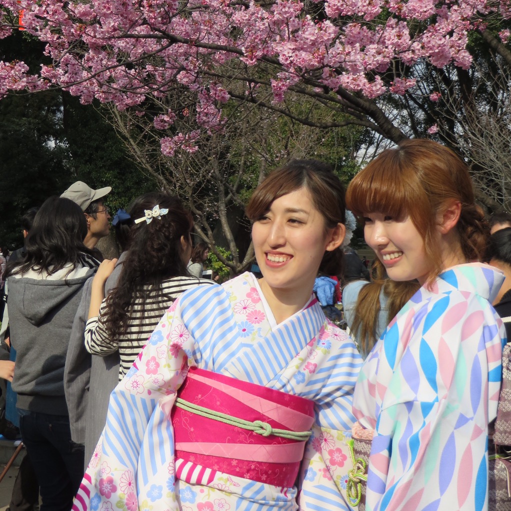 traditioneel gekleede dames Japan tijdens Kersenbloesem